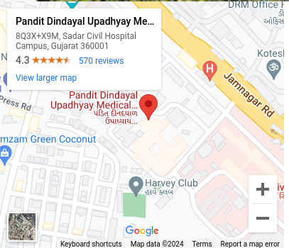 Google map PDU College